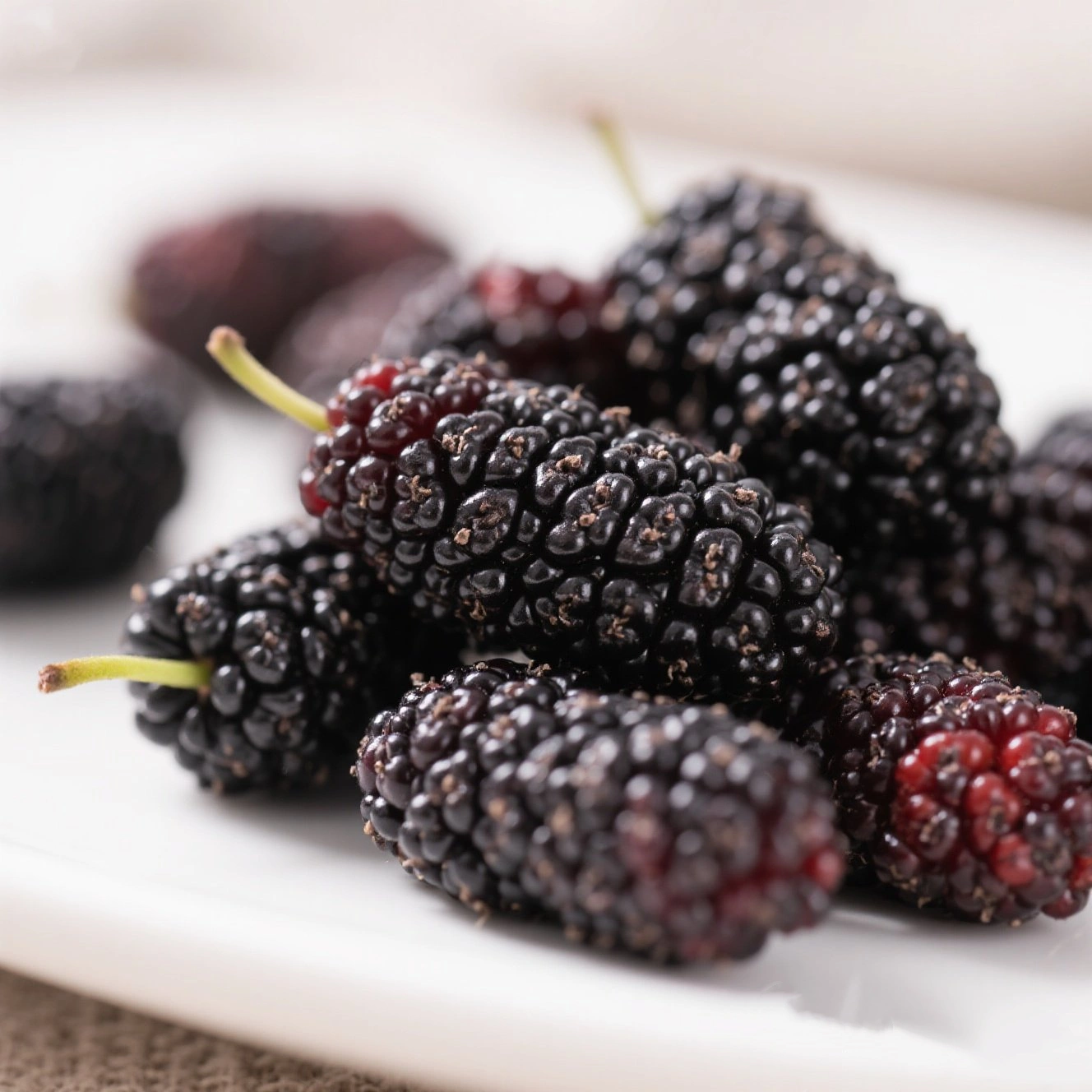 Mulberry