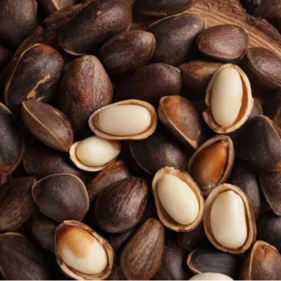 Black Pine Nuts