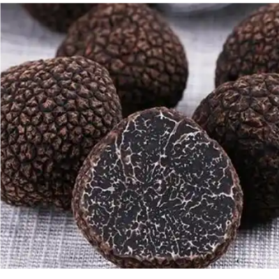 Black Truffle