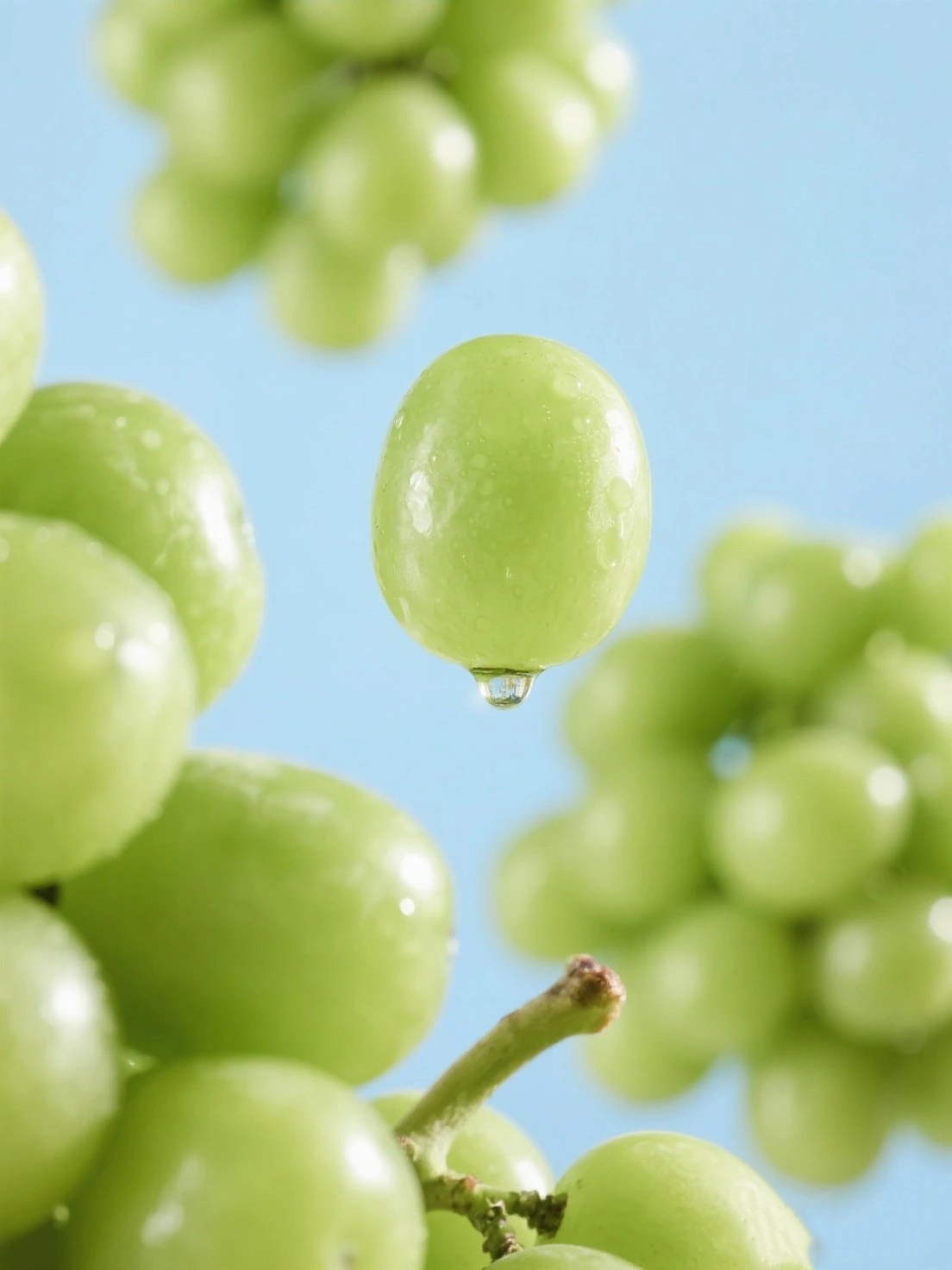 Bunch of Green Grapes