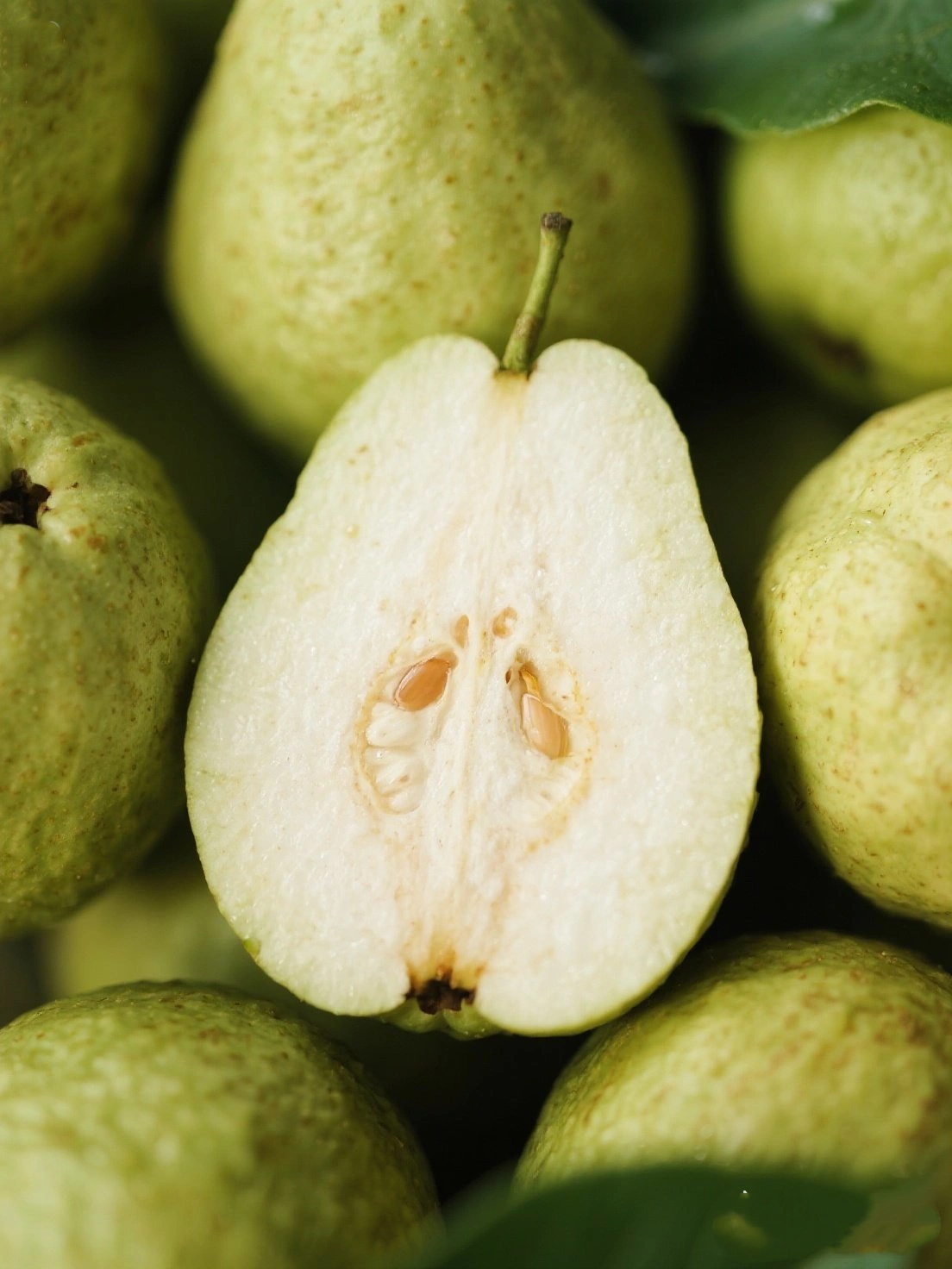 Sliced Guava