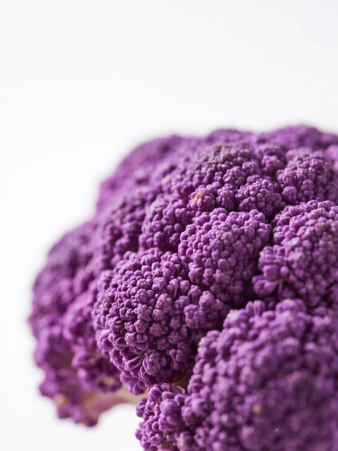 Fresh Purple Broccoli