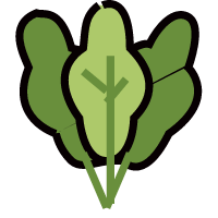 bocai