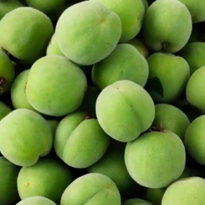 Plum