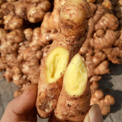 Ginger