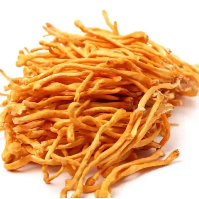 Cordyceps Flower