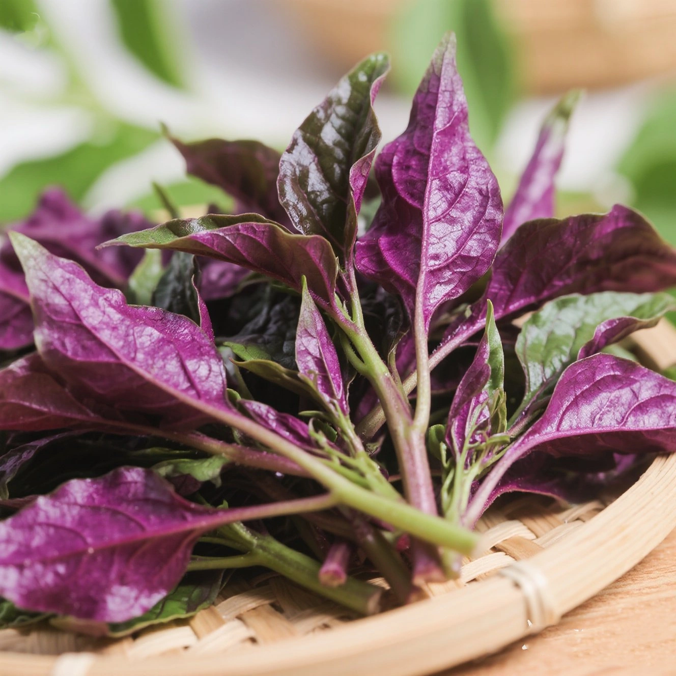 Purple amaranth