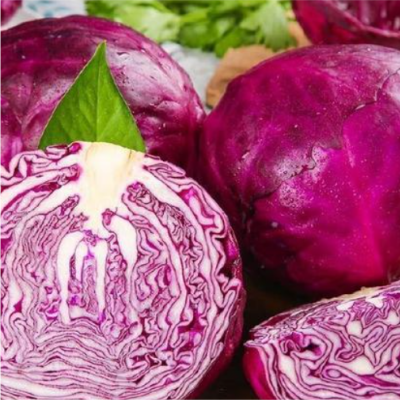 Purple Cabbage
