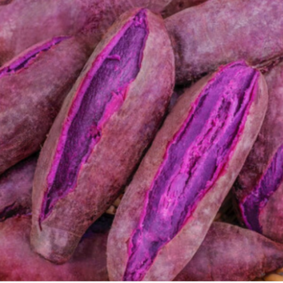 Purple Sweet Potato