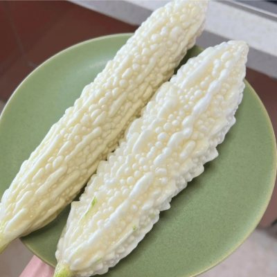 White Bitter Melon