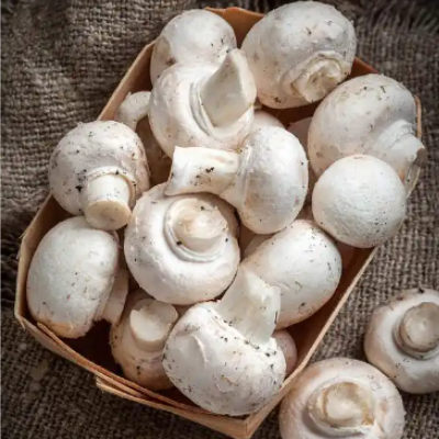 White Mushrooms