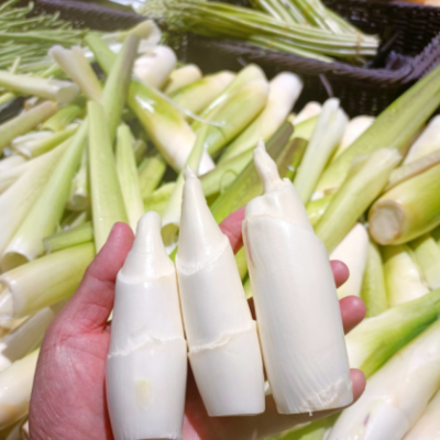 Water Bamboo Shoots