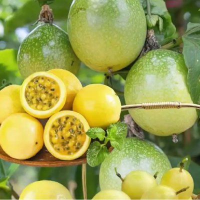 Passionfruit
